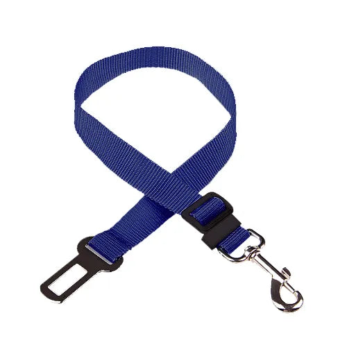 Road Dog Leash