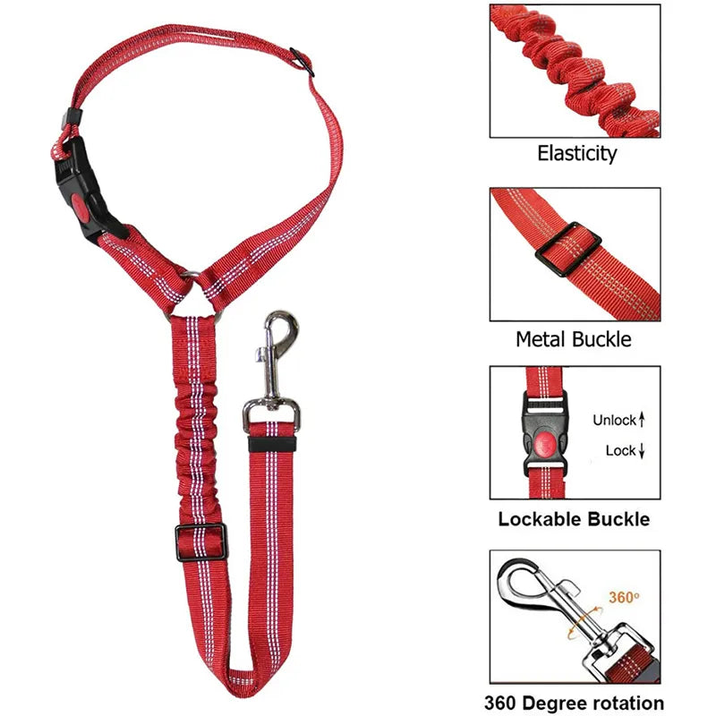 Road Dog Leash (loop only)