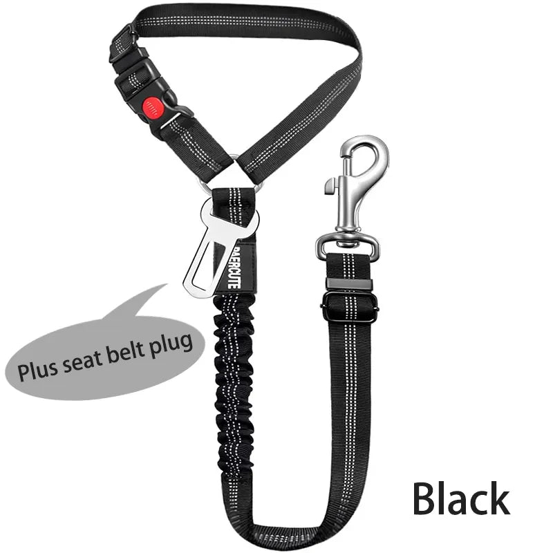 Road Dog Leash (buckle and loop)