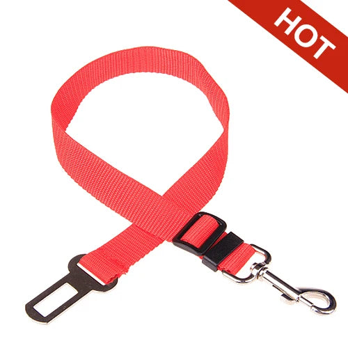 Road Dog Leash