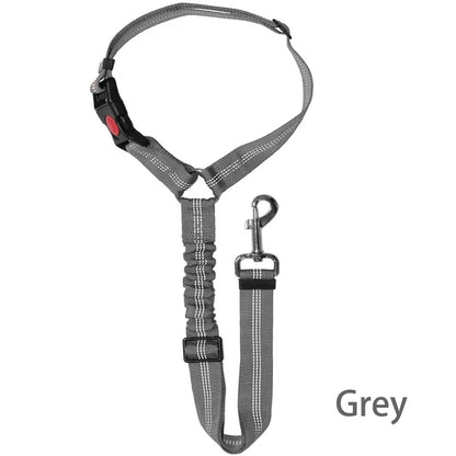 Road Dog Leash (loop only)