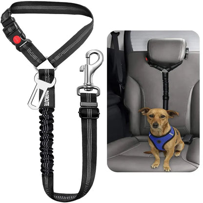 Road Dog Leash (buckle and loop)