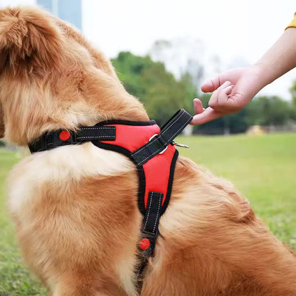 Adjustable Travel Harness