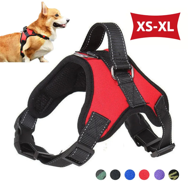 Adjustable Travel Harness