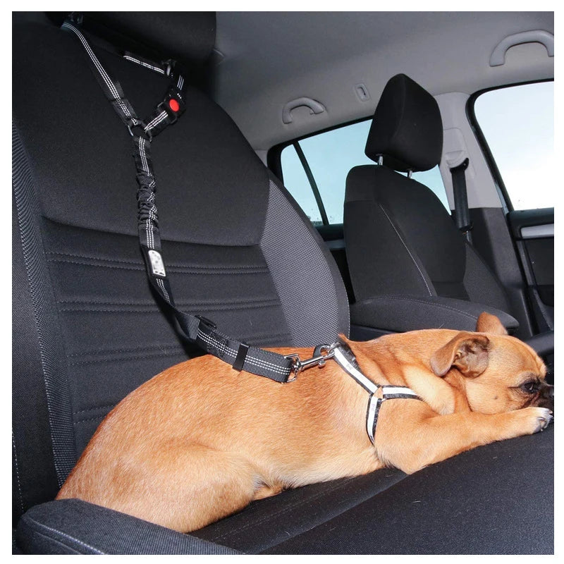 Road Dog Leash (loop only)