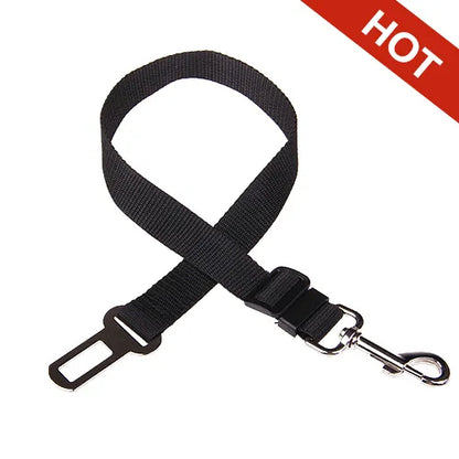 Road Dog Leash