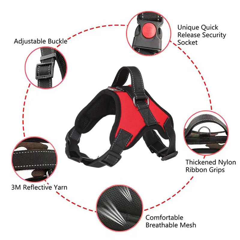 Adjustable Travel Harness