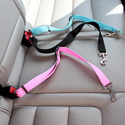 Road Dog Leash