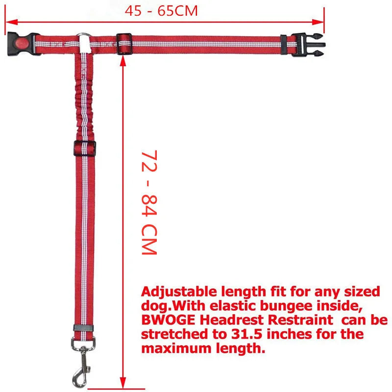 Road Dog Leash (buckle and loop)