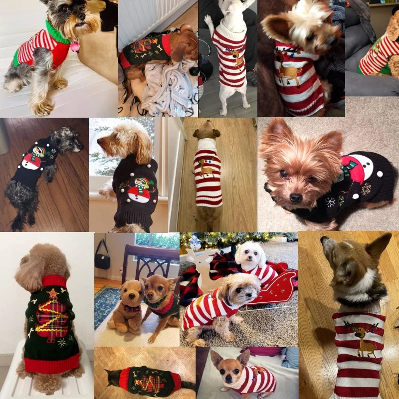 (NEW!) Christmas Sweaters